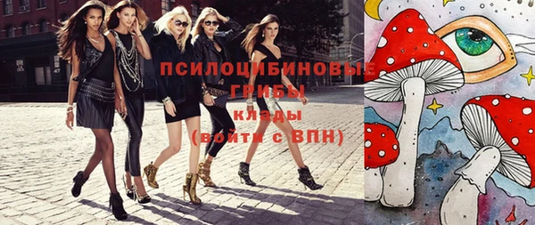 стаф Волосово