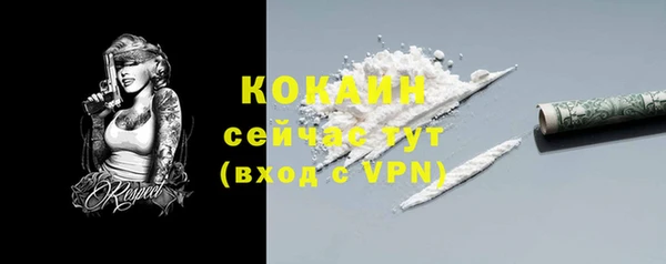 стаф Волосово