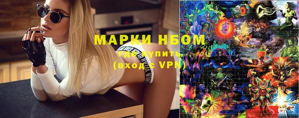 стаф Волосово