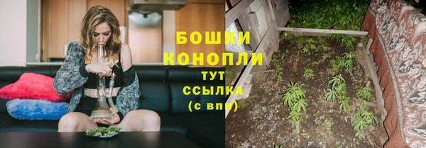 стаф Волосово
